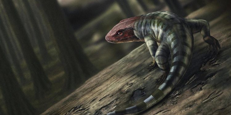 fossilienfund:-hobby-forscher-entdecken-aelteste-reptilien-fussspuren