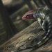 fossilienfund:-hobby-forscher-entdecken-aelteste-reptilien-fussspuren