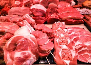 hybrid-fleisch-aus-dem-3d-drucker