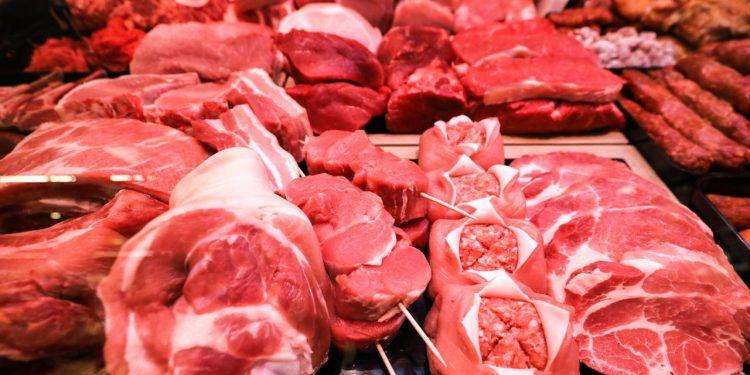 hybrid-fleisch-aus-dem-3d-drucker