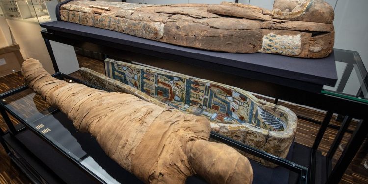 experiment-soll-mumifizierungsrezept-aufdecken