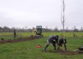 agroforstwirtschaft:-wie-baeume-und-hecken-auf-dem-acker-helfen