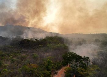 wmo:-co2-konzentration-in-der-atmosphaere-2024-so-stark-gestiegen-wie-nie