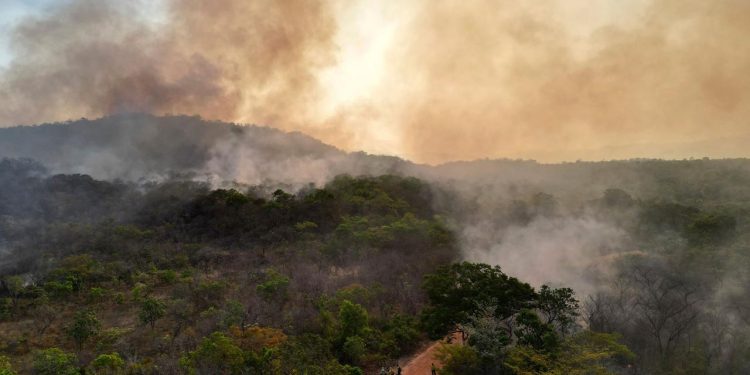 wmo:-co2-konzentration-in-der-atmosphaere-2024-so-stark-gestiegen-wie-nie