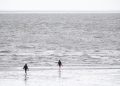 deutsche-nordsee-so-warm-wie-noch-nie-–-ostsee-zweitwaermstes-jahr