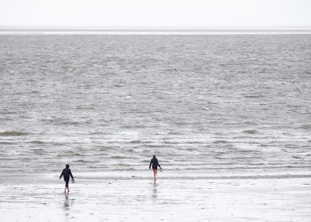 deutsche-nordsee-so-warm-wie-noch-nie-–-ostsee-zweitwaermstes-jahr