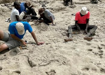 fossile-fussspuren-zeigen:-verschiedene-fruehmenschen-koennten-sich-begegnet-sein
