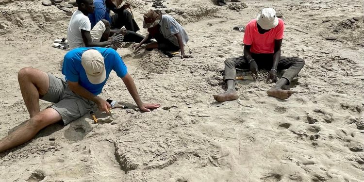 fossile-fussspuren-zeigen:-verschiedene-fruehmenschen-koennten-sich-begegnet-sein