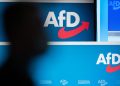 umgang-mit-der-afd:-brandmauer-debatte-in-der-union-brodelt-weiter