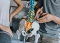 mit-evidenzbasierter-physiotherapie-gegen-arthrose