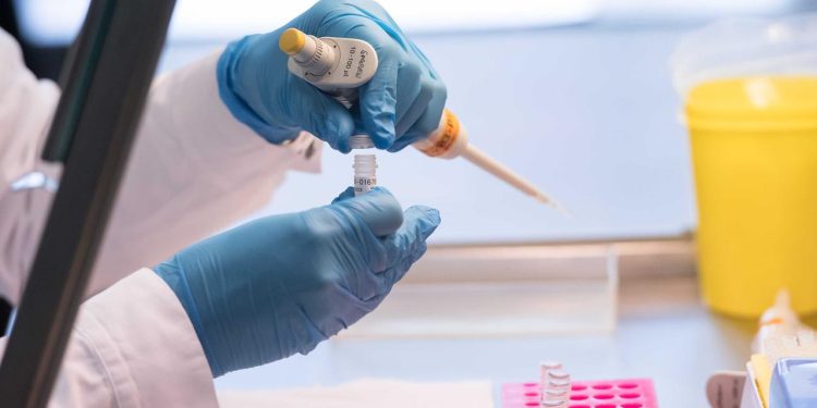 wie-gen-tests-werdende-eltern-beeinflussen-koennen