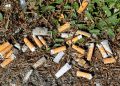 muellproblem:-zigarettenkippen-schaden-umwelt-mehr-als-gedacht