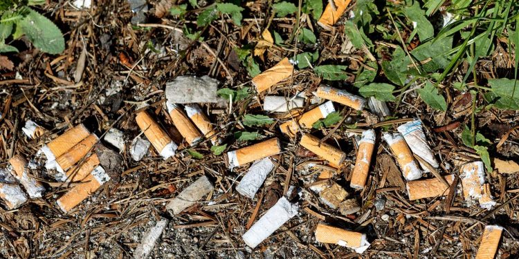 muellproblem:-zigarettenkippen-schaden-umwelt-mehr-als-gedacht