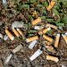 muellproblem:-zigarettenkippen-schaden-umwelt-mehr-als-gedacht