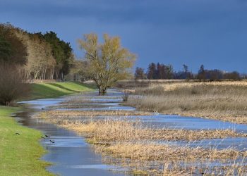 wie-kann-hochwasserschutz-in-deutschland-gelingen?