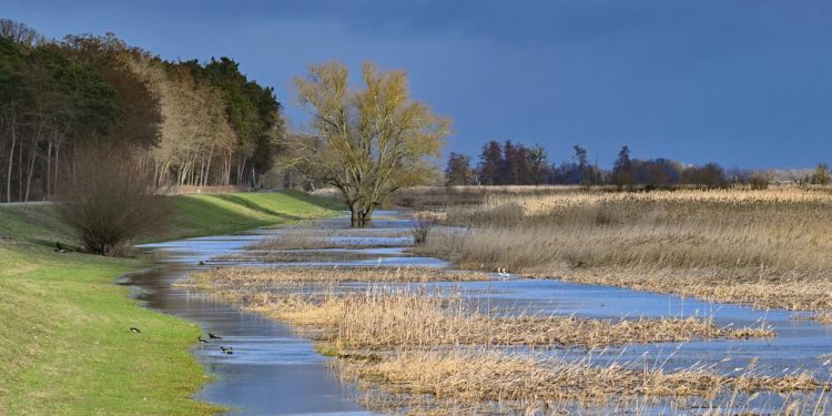 wie-kann-hochwasserschutz-in-deutschland-gelingen?