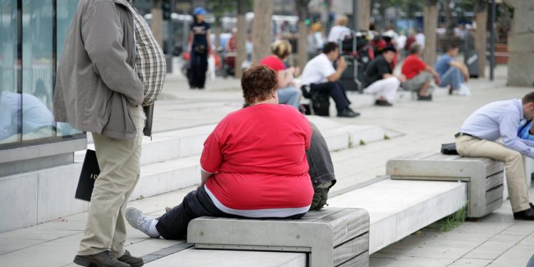 fettzellen-„erinnern“-sich-laut-studie-an-uebergewicht