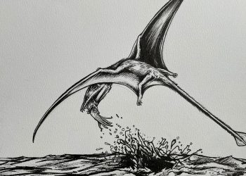 flugsaurier-mit-vorliebe-fuer-fisch