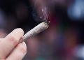 bundestagsentscheidung:-cannabis-wird-legal-–-was-sagt-die-wissenschaft?