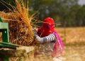 studie-zu-erderwaermung:-die-„klima-nische“-wird-kleiner