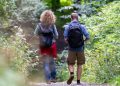 analyse-zur-bewegung-im-alltag:-4.000-schritte-am-tag-reichen-aus