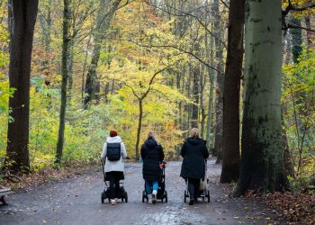 familienpolitik-auf-dem-pruefstand-–-was-kommt,-was-nicht?