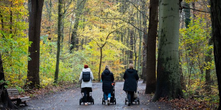 familienpolitik-auf-dem-pruefstand-–-was-kommt,-was-nicht?