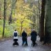 familienpolitik-auf-dem-pruefstand-–-was-kommt,-was-nicht?