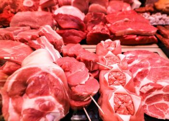 seit-wann-essen-unsere-vorfahren-fleisch?