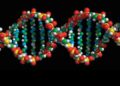 seltene-krankheiten:-studie-findet-34-neue-genetische-erkrankungen