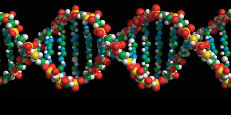 seltene-krankheiten:-studie-findet-34-neue-genetische-erkrankungen