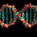 seltene-krankheiten:-studie-findet-34-neue-genetische-erkrankungen