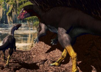 neuer-fossilienfund:-dinosaurier-lebten-unter-der-erde