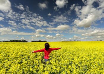 entscheidungen-aus-dem-bauch-heraus-heben-die-stimmung