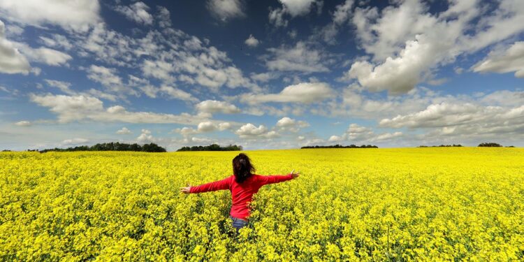 entscheidungen-aus-dem-bauch-heraus-heben-die-stimmung