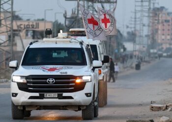 israel-bestaetigt-identitaet-zweier-weiterer-leichen