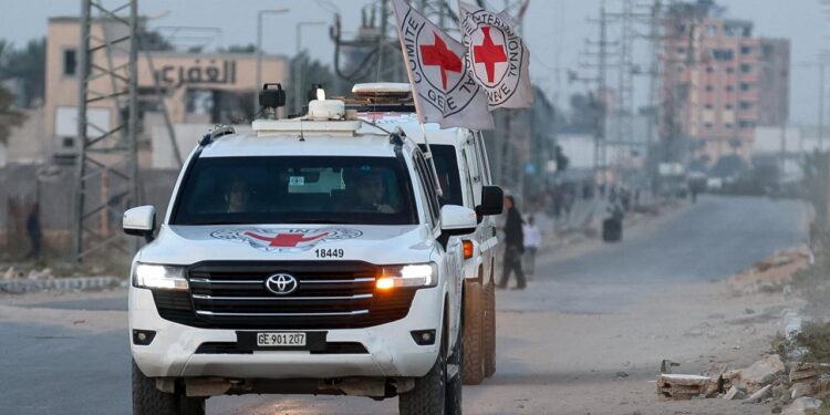 israel-bestaetigt-identitaet-zweier-weiterer-leichen