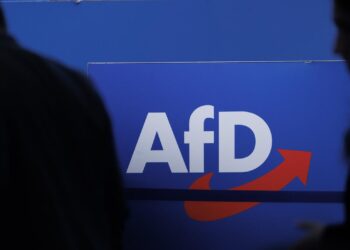 afd-klagt-auf-rueckgabe-von-millionenspende