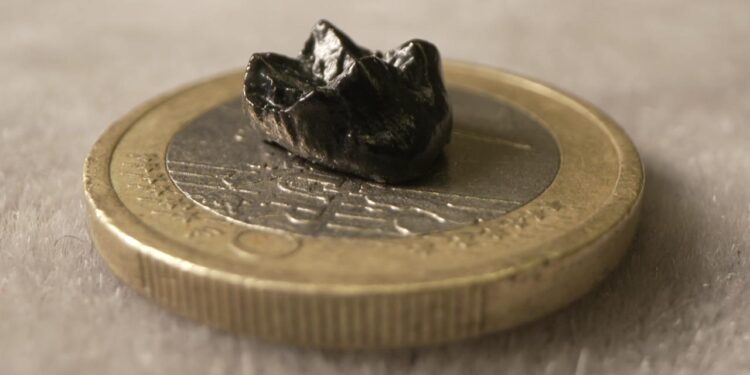 zwei-zaehne-und-eine-kniescheibe:-kleinste-menschenaffenart-entdeckt