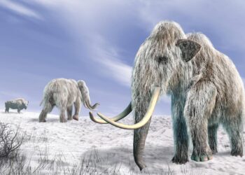 bringen-forschende-das-mammut-zurueck?