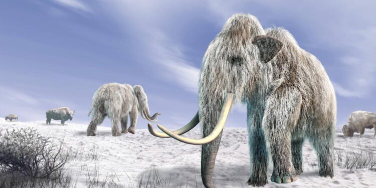 bringen-forschende-das-mammut-zurueck?