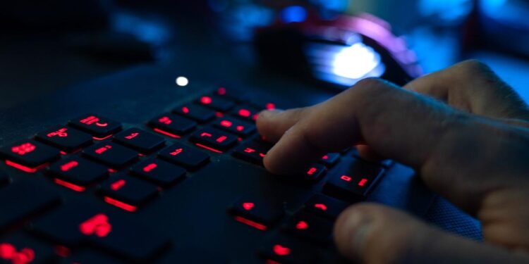 bka-meldet-festnahmen-bei-razzia-gegen-betrueger-netzwerk