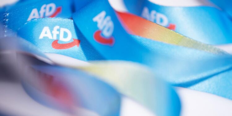 neue-afd-jugendorganisation:-neuer-name,-alte-netzwerke