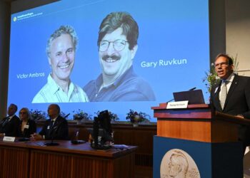 medizin-nobelpreis-geht-an-microrna-entdecker-ambros-und-ruvkun