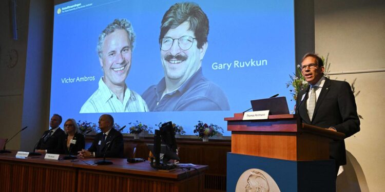 medizin-nobelpreis-geht-an-microrna-entdecker-ambros-und-ruvkun