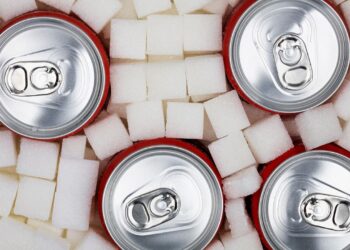 ernaehrung:-zu-viel-zucker-schadet-dem-gehirn