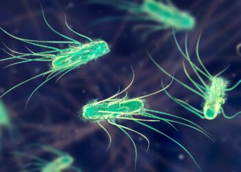 mikrobiom-forschung:-bakterien-im-darm-genetisch-veraendert