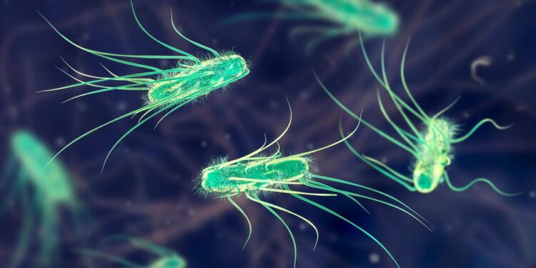 mikrobiom-forschung:-bakterien-im-darm-genetisch-veraendert