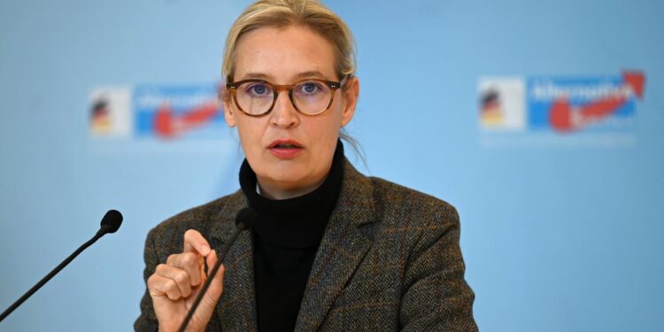 weidel-erteilt-russlandreise-eines-afd-abgeordneten-eine-absage