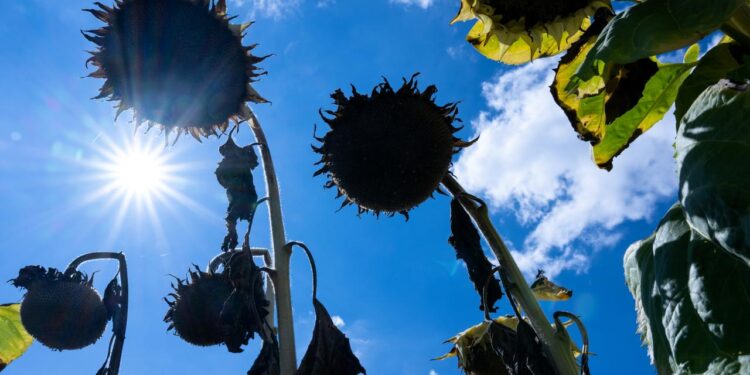 eu-klimadienst:-erderwaermung-erstmals-durchschnittlich-ueber-1,5-grad